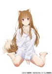  1girl absurdres animal_ears bare_legs barefoot between_legs blush brown_hair closed_mouth collarbone collared_shirt commentary_request copyright_notice frown hand_between_legs highres holo long_sleeves official_art red_eyes shirt simple_background sitting solo spice_and_wolf tail wariza white_background white_shirt wolf_ears wolf_girl wolf_tail 