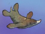 ambiguous_gender blue_background bubble dryolestid feral flippers lizardman_(artist) mammal simple_background swimming