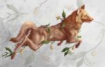 antique canid canine canis feral mammal melodyofforest vintage wolf