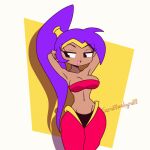 2023 animated bouncing_breasts breasts brown_body brown_skin cleavage clothed clothing female genie hair humanoid humanoid_pointy_ears long_hair not_furry open_mouth open_smile ponytail purple_hair scruffmuhgruff shantae shantae_(series) signature simple_background smile solo wayforward