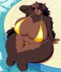 anthro big_breasts bikini black_hair black_nose breasts brown_body brown_fur bulging_breasts canid canine canis clothing curvy_figure feet_in_water female fenrie_(fenrir_brown) fenrir_brown foot_in_water fur gold_bikini hair hand_on_forehead hi_res high-angle_view huge_breasts looking_at_viewer mammal micro_bikini nipple_outline open_mouth sitting skindentation slightly_chubby solo swimwear thick_thighs voluptuous wide_hips wolf