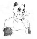 2023 absurd_res anthro bear beastars big_muscles black_body black_fur clothing digital_media_(artwork) dress_shirt efradraws fur giant_panda gouhin_(beastars) hi_res male mammal muscular muscular_anthro muscular_male scar shirt solo topwear