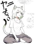  1girl animal_ear_fluff animal_ears black_pants breasts cat_ears cat_girl cat_tail cigarette crossed_legs earrings green_eyes green_hair hole_in_sock hoop_earrings jewelry khn_(kihana) looking_at_viewer multiple_earrings pants shirt short_hair short_sleeves sitting smoke smoking solo sweatpants tail torn_clothes translation_request yani_neko yani_neko_(yani_neko) 