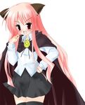  animal_ears cape hand_on_hip long_hair louise_francoise_le_blanc_de_la_valliere nagatsuki_rio pentacle pink_hair red_eyes solo thighhighs white_background zero_no_tsukaima 