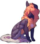  alpha_channel ambiguous_gender feral fur grey_body grey_ears grey_fur hair hair_over_eyes mouth_closed orange_body orange_fur orange_hair quadruped rayliicious simple_background sitting solo transparent_background 