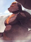  1boy animal_ears bara barguest_(housamo) bear_boy bear_ears belly blurry blurry_foreground blush brown_fur chest_tuft foreshortening from_side furry furry_male highres huge_eyebrows large_pectorals looking_back male_focus mature_male muscular muscular_male nipples onsen orange_hair pectorals plump profile short_hair sideways_glance solo steam suna_sand1 tokyo_afterschool_summoners upper_body wet 