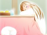  artist_request blush brown_hair cat copyright_request kotatsu long_hair lowres sleeping solo table 