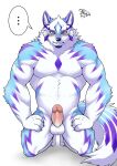 anthro balls blue_eyes blush canid canine canis domestic_dog erection fur genitals hi_res ioenami88 lifewonders live_a_hero male mammal multicolored_body multicolored_fur muscular muscular_anthro muscular_male nude pecs penis sadayoshi solo