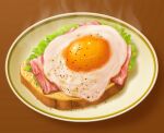  bread bread_slice egg egg_(food) food food_focus fried_egg no_humans original pepper_(spice) plate steam th6313 toast 