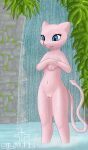 anthro anthrofied bathing blue_eyes female forest front_view generation_1_pokemon genitals hi_res jungle legendary_pokemon mammal mew_(pokemon) navel nintendo nude partially_submerged paws pink_body plant pokemon pokemon_(species) pokemorph pussy shower showering silavos smile solo standing tree water waterfall watermark wet wet_body