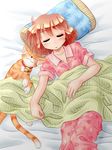  bed cat original pajamas sleeping zan_nekotama 