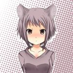  akku_lude animal_ears brown_eyes cat_ears nagato_yuki short_hair silver_hair solo suzumiya_haruhi_no_yuuutsu 