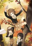  :o ;o annyeong_we_are_peanuts arm_up arms_up autumn autumn_leaves bad_id bad_pixiv_id black_hair black_legwear braid brown_eyes brown_hair climbing from_above ginkgo holding kneehighs leaf legs loafers long_hair looking_at_another looking_down looking_up maple_leaf maple_tree multiple_girls one_eye_closed outdoors pantyhose paper_airplane plaid plaid_skirt scarf school_uniform shin_ji-won shoes side_braid skirt son_min-ji standing tiv tree twin_braids yu_anna 