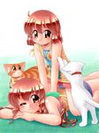  book breasts cat massage multiple_girls original siblings sisters small_breasts sweater zan_nekotama 