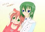  iwasaki_minami kobayakawa_yutaka lucky_star tagme 