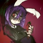  animal_ears bunny_ears carrot ph. reisen_udongein_inaba solo touhou 