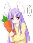  animal_ears bunny_ears carrot harunatsu_akito reisen_udongein_inaba solo sweater touhou 