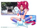  1girl akira_m animal_ears cat_ears catgirl solo 