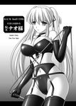  bdsm bondage bound breasts cleavage greyscale huge_breasts kafu mabinogi monochrome nao_(mabinogi) solo thighhighs whip 