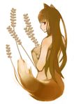  animal_ears artist_request brown_hair holo long_hair nude solo spice_and_wolf tail wheat wolf_ears 