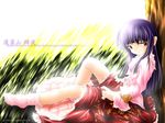  against_tree bare_legs blouse duplicate from_side full_body grass houraisan_kaguya long_sleeves looking_at_viewer looking_to_the_side no_shoes nobuyuki pink_legwear plant purple_eyes purple_hair red_skirt sitting skirt socks solo touhou tree 