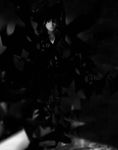  dark futon_(kitsune_tsuki) greyscale highres monochrome solo touhou yakumo_ran 