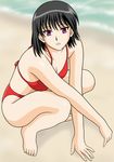  1girl beach bikini black_hair breasts outdoors red_eyes school_rumble short_hair solo swimsuit taishita tsukamoto_yakumo 