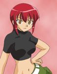  crop_top duplicate kaibutsu_oujo lowres midriff onyx_(artist) orange_eyes red_hair riza_wildman 