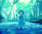  hajimenimodoru kawashiro_nitori nature solo touhou two_side_up water 