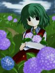  ascot black_eyes flower futami_yayoi green_hair hydrangea kazami_yuuka looking_at_viewer object_hug plaid plaid_skirt plaid_vest rain red_eyes short_hair skirt skirt_set solo touhou vest 