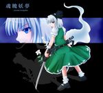  blue_eyes hitodama konpaku_youmu konpaku_youmu_(ghost) mazakura_senju skirt solo sword touhou weapon 