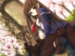  ai_ai_gasa ass black_legwear brown_eyes brown_hair cherry_blossoms copyright_request diploma dutch_angle flower hitomaru long_hair looking_at_viewer outdoors pantyhose pleated_skirt school_uniform skirt smile solo thighband_pantyhose tree 