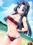  asakura_ryouko bandeau beach bikini blue_eyes blue_hair breasts cleavage curvy day food fruit half_updo knife medium_breasts outdoors solo strapless suzumiya_haruhi_no_yuuutsu swimsuit tubetop underboob watermelon yaso_shigeru 