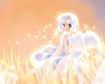  blue_eyes capura_lin original short_hair solo wallpaper white_hair wings 