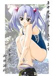  1girl blue_hair hoshino_ruri kidou_senkan_nadesico martian_successor_nadesico twintails yellow_eyes 