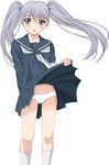  grey_hair hoshino_ruri kidou_senkan_nadesico martian_successor_nadesico panties school_uniform seifuku serafuku underwear yellow_eyes 