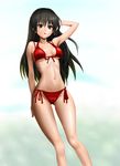  bad_id bad_pixiv_id bikini black_eyes black_hair front-tie_top hand_behind_head highres kotegawa_yui long_hair red_bikini side-tie_bikini solo swimsuit taka_(takahirokun) to_love-ru 