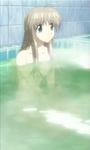  ahoge bath brown_hair futakoi green_eyes long_hair screencap shirogane_souju solo water 