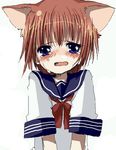  animal_ears bangs blue_eyes blue_sailor_collar blush bow bowtie brown_hair cat_ears crying crying_with_eyes_open dot_nose hair_between_eyes looking_at_viewer namori oekaki open_mouth original red_neckwear sailor_collar school_uniform shirt short_sleeves simple_background solo tears upper_body wavy_mouth white_background white_shirt 