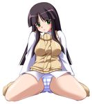  artist_request blue_panties dress_shirt gad_guard long_sleeves no_pants panties shinozuka_arashi shirt socks solo spread_legs striped striped_panties sweater underwear 