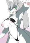  anthro big_breasts bikini blush breasts camel_toe canid canine clothed clothing female fur green_eyes grey_hair hair huge_breasts kemono long_hair mammal nipple_slip nipples open_mouth pawpads paws ponytail solo swimsuit wardrobe_malfunction たぬたん 