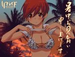  artist_request ashida_kei bikini blush breasts cleavage large_breasts palm_tree realize red_hair shirt_lift shochuumimai short_hair solo string_bikini sunset swimsuit translation_request tree 