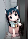  animal_ears cat_ears kashiwagi_kaede kizuato pleated_skirt school_uniform skirt solo yuuki_shin'ichi 