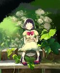  animal cat cat_on_lap closed_eyes copyright_request high_heels leaf nature ribbon shoes short_hair sitting solo source_request tako_ashin 