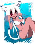  animal_ears bikini cat_ears kokage-san kusaka_kokage long_hair original red_eyes solo swimsuit tail white_hair 