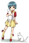  animal blue_hair blush bob_cut brown_eyes cat full_body holding hood kneehighs looking_at_viewer mahou_no_tenshi_creamy_mami morisawa_yuu shoes short_hair short_sleeves skirt smile sody solo very_short_hair walking 