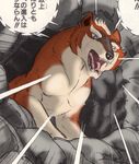  dog fangs ginga_nagareboshi_gin hiyouma_(ginga_nagareboshi_gin) wolf 