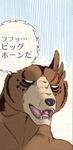  big_horn_(ginga_nagareboshi_gin) dog fangs ginga_nagareboshi_gin scar wolf 
