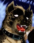  collar dog fangs ginga_nagareboshi_gin kurojaki_(ginga_nagareboshi_gin) mohawk scar shikoku_inu 