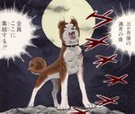  akita akita_inu claws collar dog fangs ginga_nagareboshi_gin moon paws riki_(ginga_nagareboshi_gin) scar spoilers tail translated 